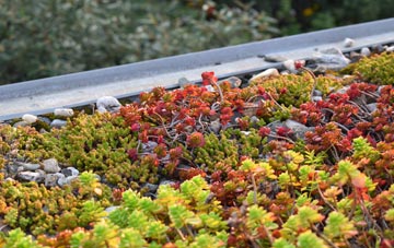 the cost of Leweston green roof installation