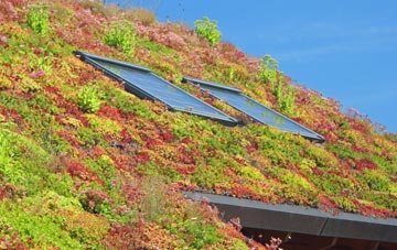 Leweston living roof systems