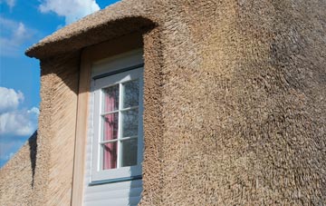 Leweston thatch roof disadvantages