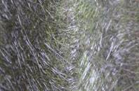 Leweston fibreglass roof work